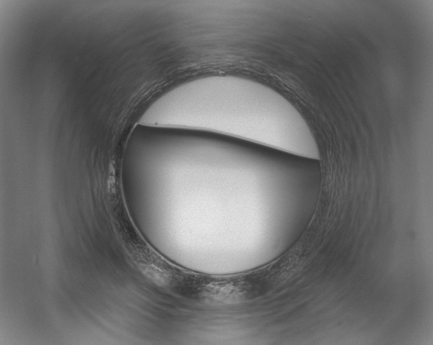 X0000056010502200508190858