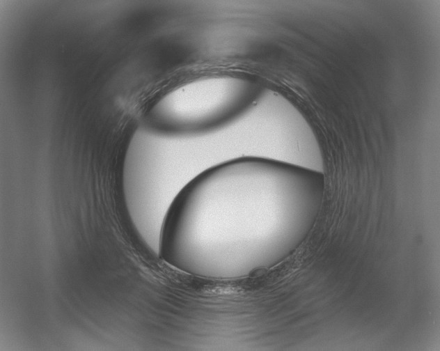 X0000056010503200508190858