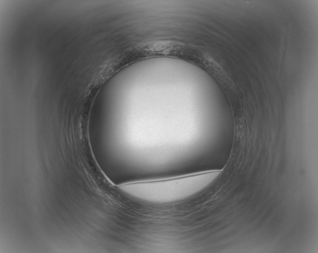 X0000056010504200508190857