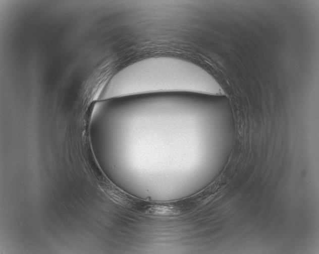 X0000056010507200508190857