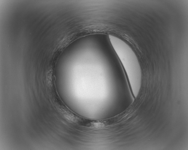 X0000056010509200508190857