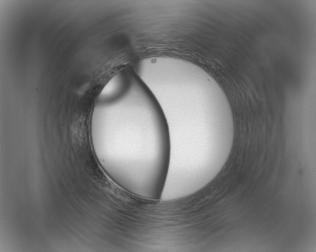 X0000056010511200508190857