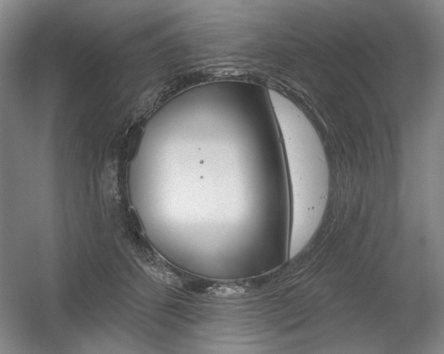 X0000056010512200508190857