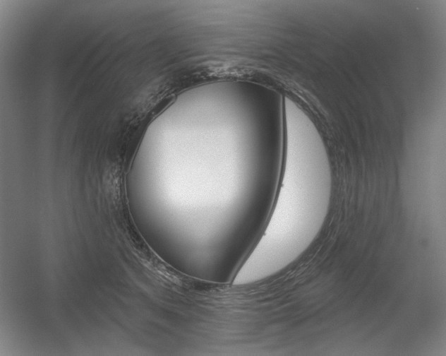 X0000056010513200508190857