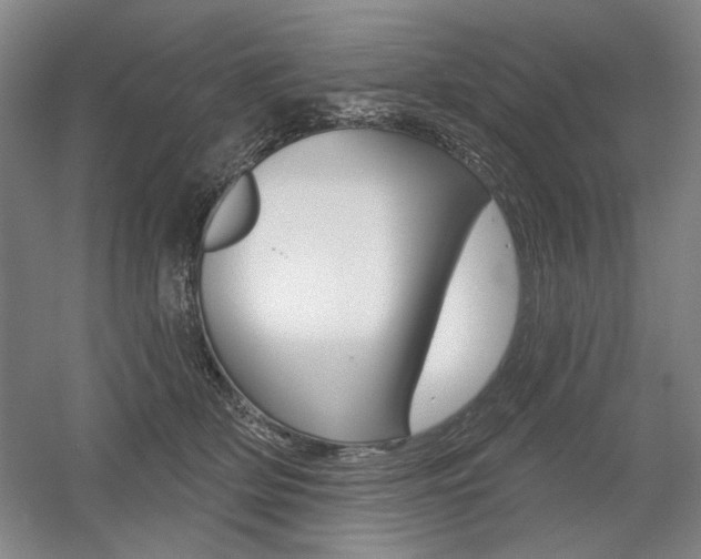 X0000056010514200508190857