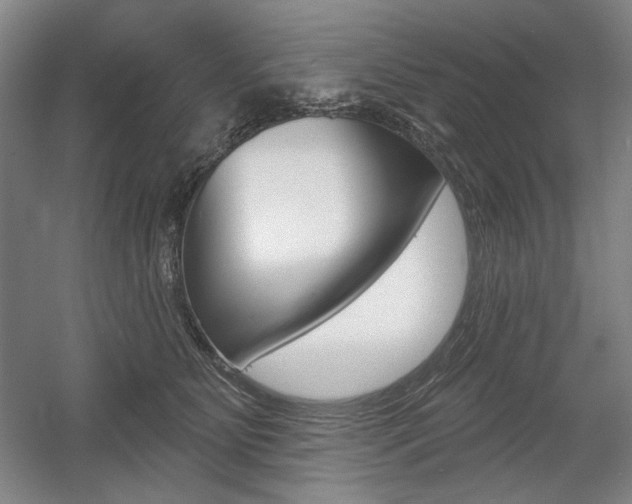 X0000056010515200508190857