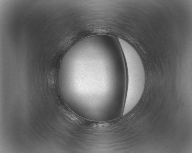 X0000056010517200508190857
