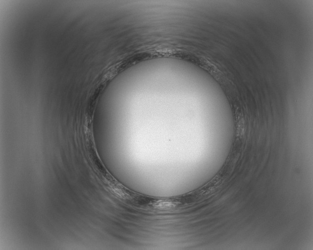 X0000056010518200508190857