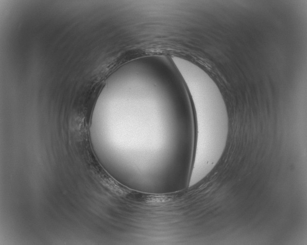 X0000056010521200508190857