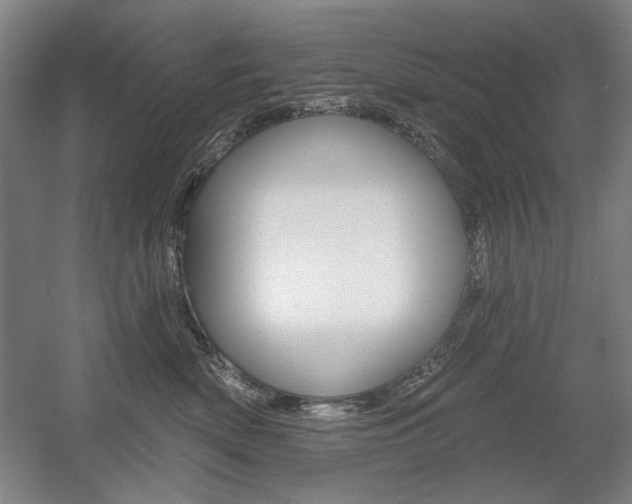 X0000056010522200508190857