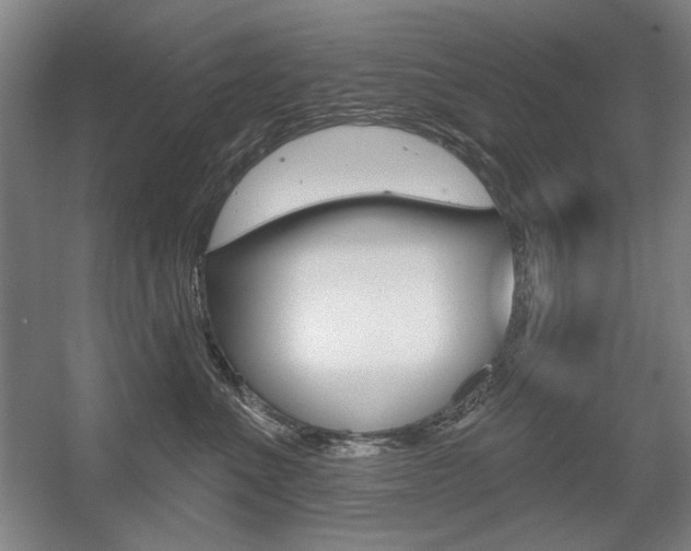 X0000056010523200508190857