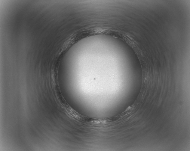 X0000056010524200508190857