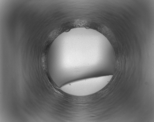 X0000056010526200508190857