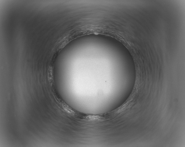 X0000056010528200508190857