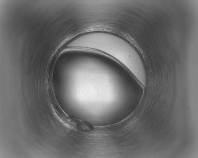 X0000056010530200508190856