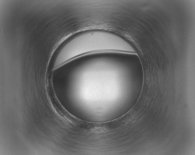 X0000056010536200508190856