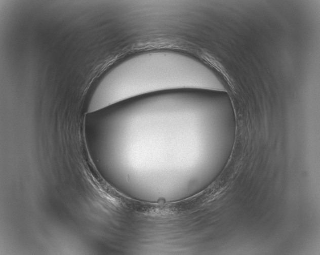 X0000056010537200508190856