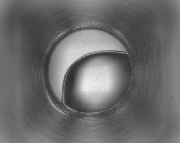 X0000056010538200508190856