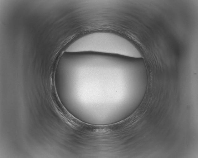 X0000056010541200508190856