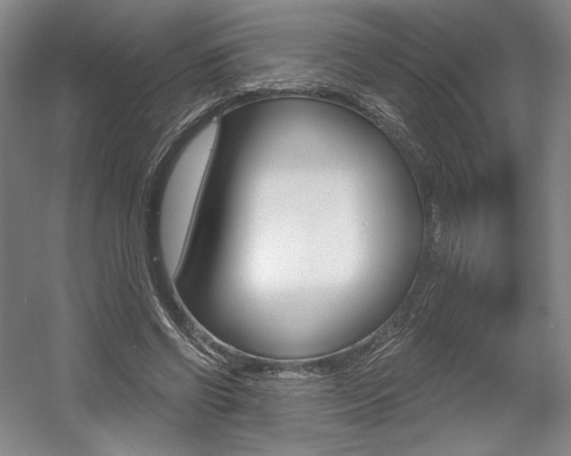 X0000056010542200508190856