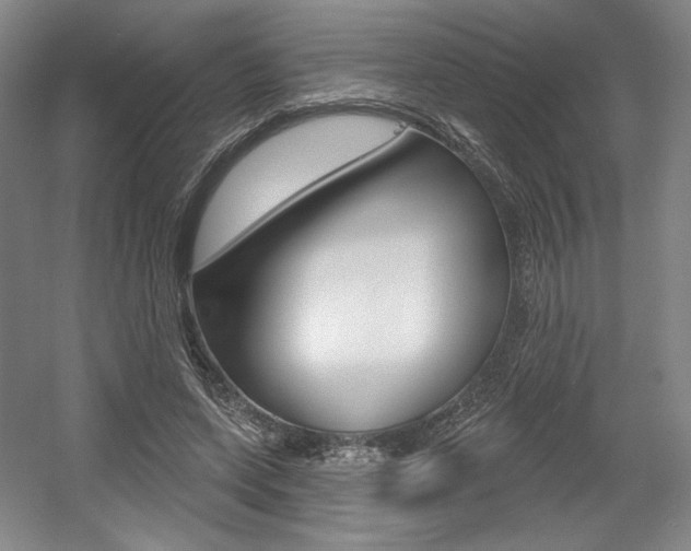 X0000056010543200508190857