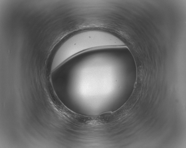 X0000056010544200508190857