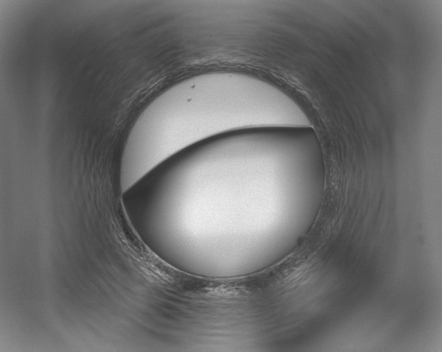 X0000056010545200508190857