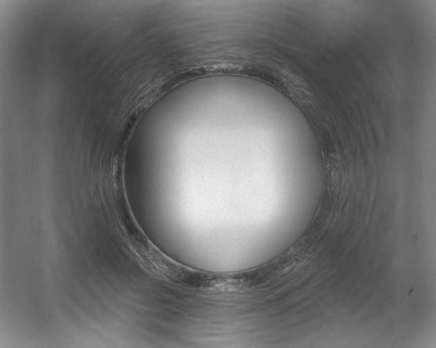 X0000056010550200508190857