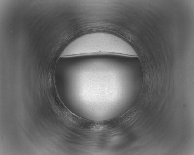 X0000056010551200508190857
