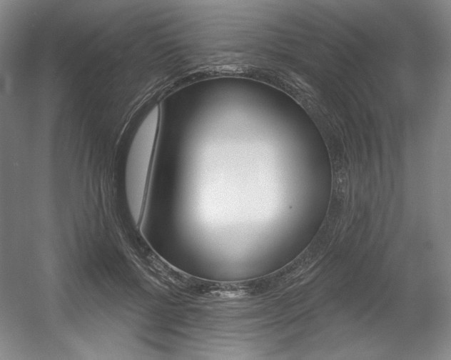 X0000056010552200508190857