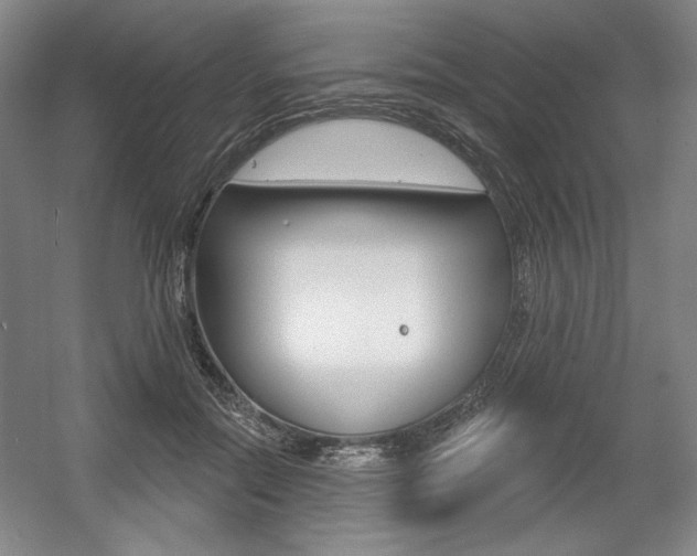 X0000056010554200508190857