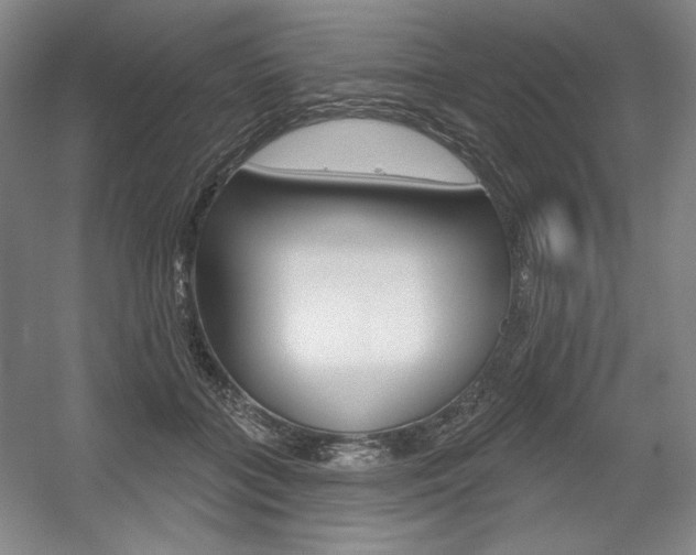 X0000056010555200508190857