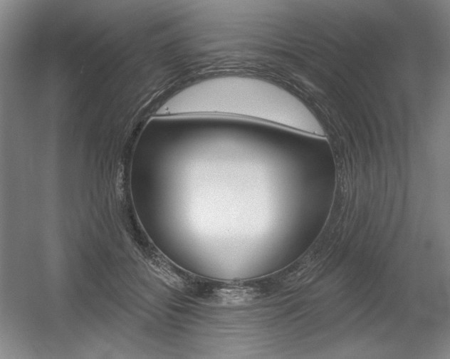 X0000056010556200508190857