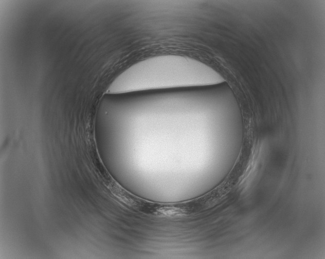 X0000056010557200508190857