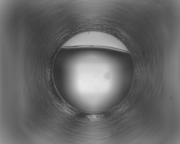 X0000056010558200508190857