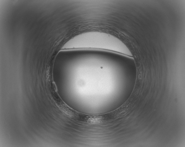 X0000056010560200508190857