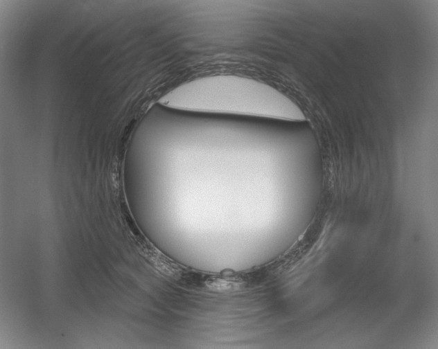 X0000056010561200508190857