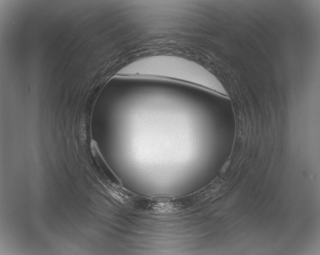 X0000056010562200508190857