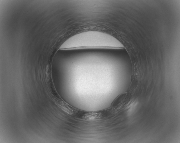 X0000056010563200508190857
