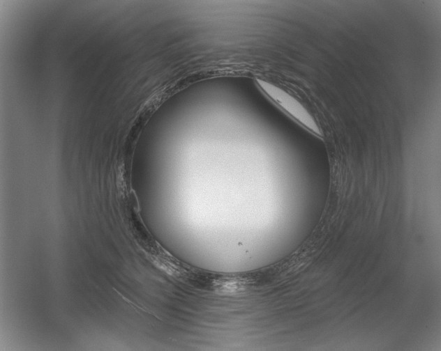 X0000056010564200508190857