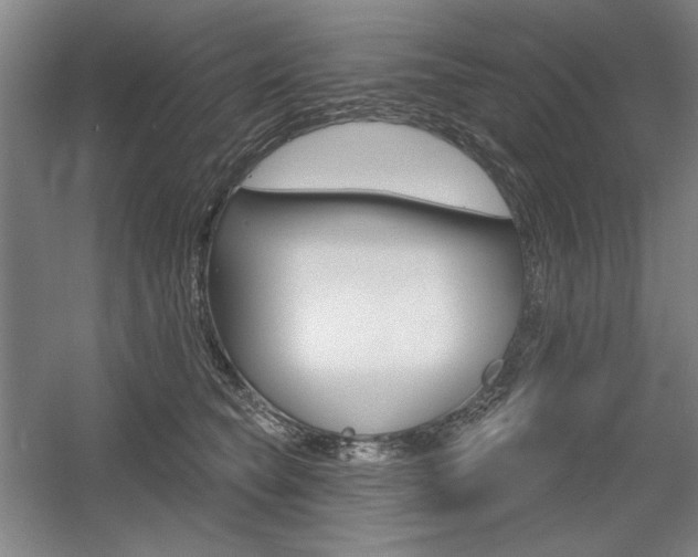 X0000056010565200508190857