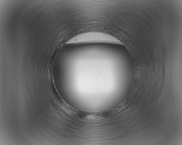X0000056010568200508190857