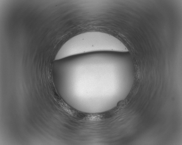X0000056010569200508190857