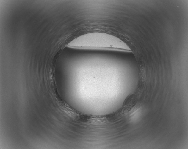 X0000056010571200508190857