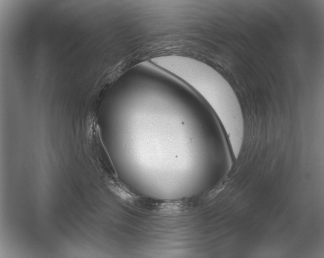 X0000056010574200508190857