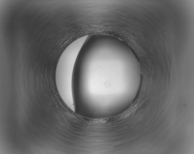 X0000056010576200508190857