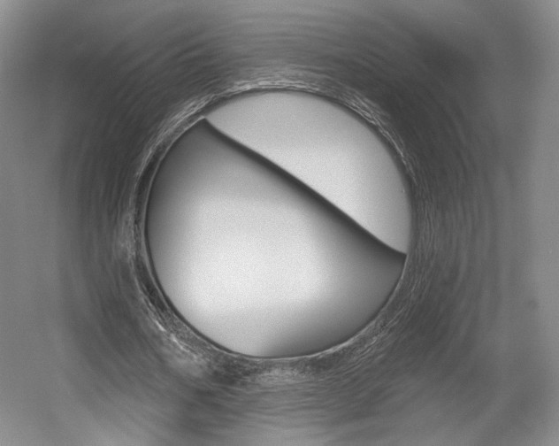 X0000056010578200508190856