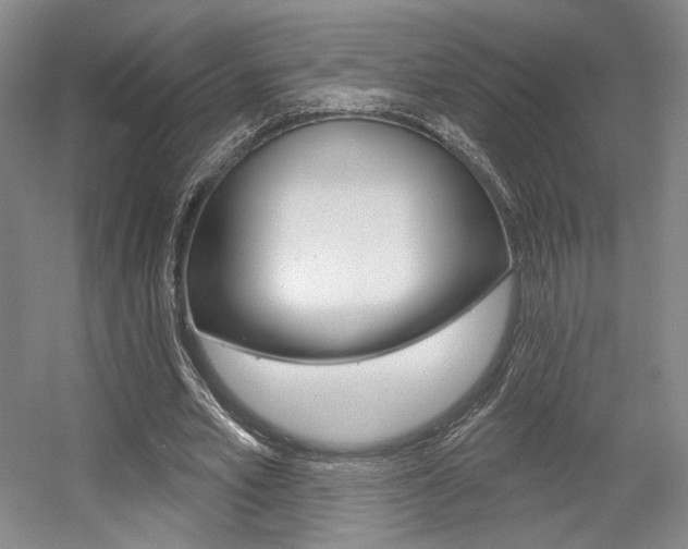 X0000056010581200508190856