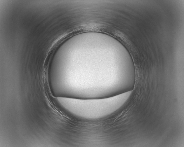 X0000056010583200508190856