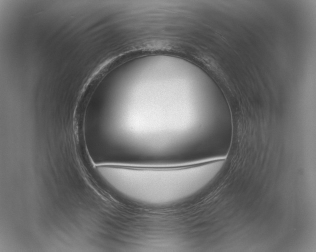 X0000056010584200508190856